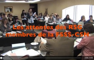 Capsule vidéo No 7 – Les attentes des RSG membres de la FSSS-CSN
