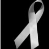 Journée nationale de commémoration et d’action contre la violence faite aux femmes
