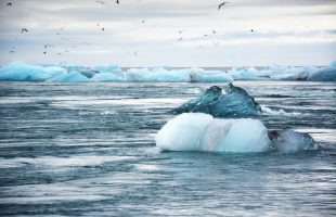 Des impacts réels des changements climatiques sur la santé et nos milieux de travail