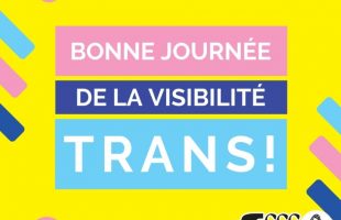 La FSSS-CSN proactive pour aider les personnes trans dans leur milieu de travail