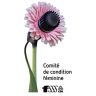 Appui à l’analyse différenciée selon les sexes