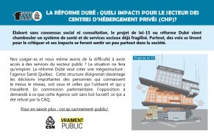 Réforme Dubé: quels impacts pour les centres d&rsquo;hébergement privés?