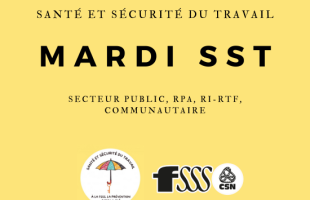 SST dans le secteur public ainsi que dans les RPA, les RI-RTF et le communautaire
