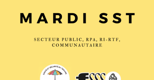 SST dans le secteur public ainsi que dans les RPA, les RI-RTF et le communautaire