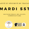 SST dans le secteur public ainsi que dans les RPA, les RI-RTF et le communautaire